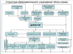 Структура управления образовательной организацией